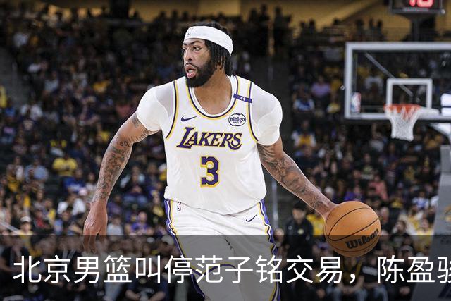 北京男篮叫停范子铭交易，陈盈骏收到高额报价，方硕留队概率提升