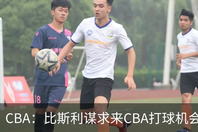 CBA：比斯利谋求来CBA打球机会，深圳男篮官宣主教练，广东男篮小外援最新消息，杨瀚森月中回归中国男篮